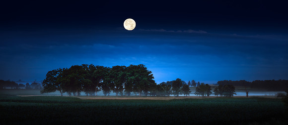 Moonrise Over Tree Grove Color