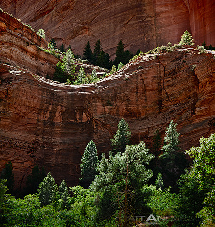 Kolob Coaster by Matt Anderson