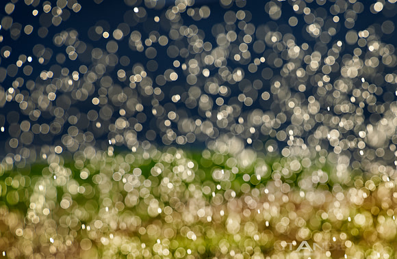Bubbles of Light by Matt Anderson