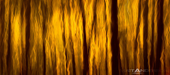 Fall on Fire by Matt Anderson
