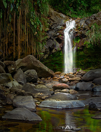 Annandale Falls by Matt Anderson