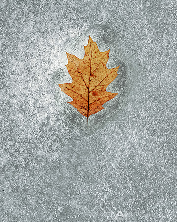 Icy Grave by Matt Anderson