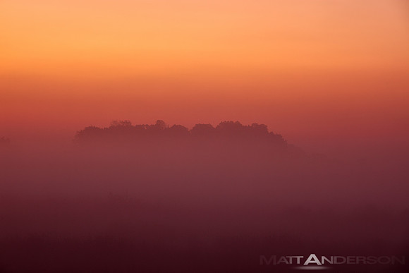 Foggy Sunrise by Matt Anderson