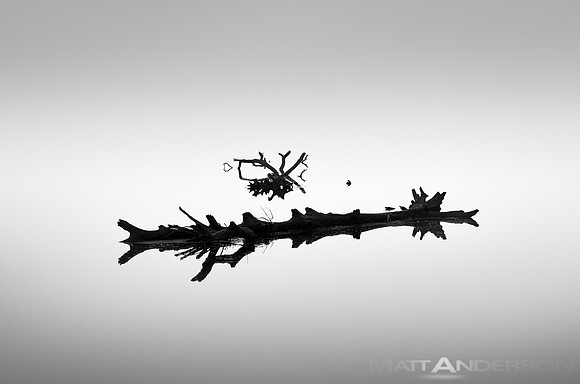 River Log Reflected by Matt Anderson