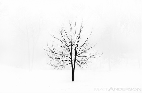 Winters Tree #4 (Horcrux) by Matt Anderson
