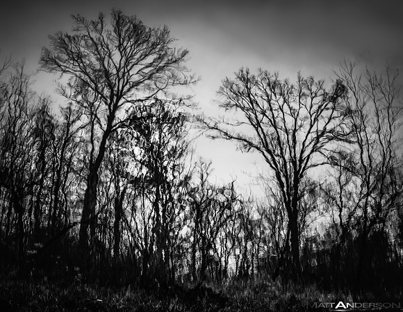 Dark Reflections #2 by matt anderson
