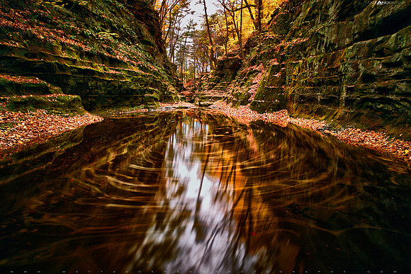 pewitts nest 11 by matt anderson 2400px