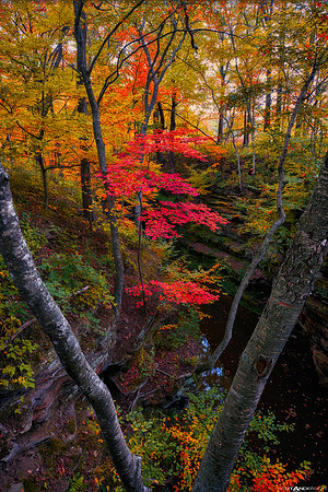 Fall in Wisconsin 1 by matt anderson 2400px