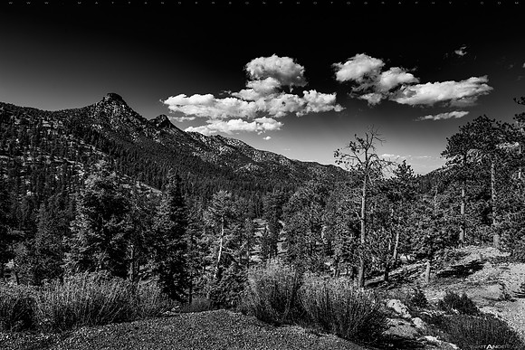 mount charleston nevada in bw 2400px