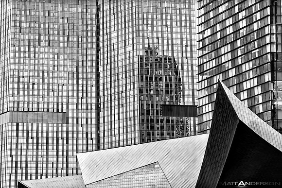 DSC_6391 in BW