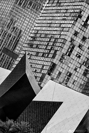 DSC_6389-bw