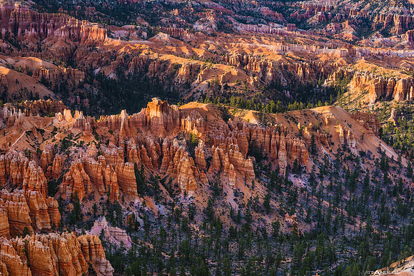 bryce canyon #5 by matt anderson 2400px