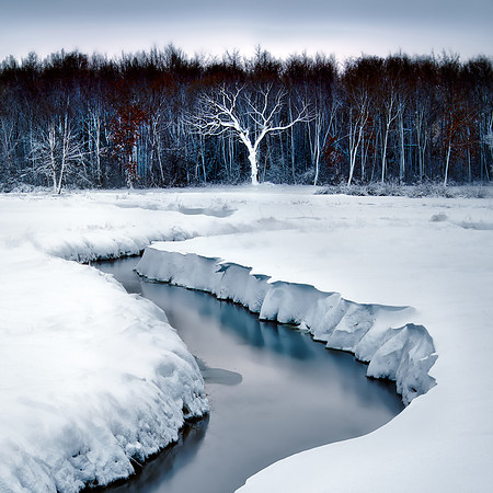Snow Blown #2 by Matt Anderson