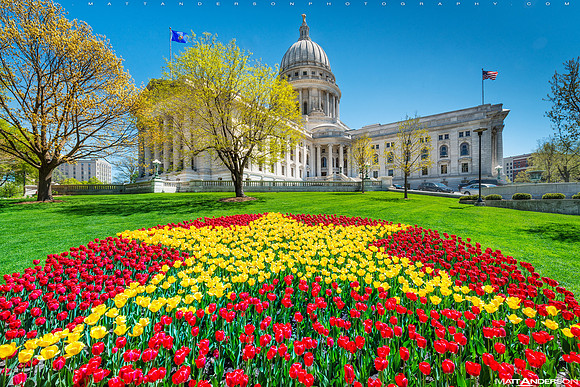 Wisconsin State Capitol - Capital in Spring #1