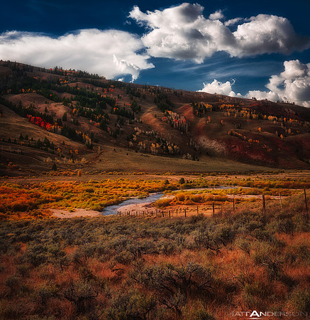 Crystal Creek Canyon Hillside by matt anderson