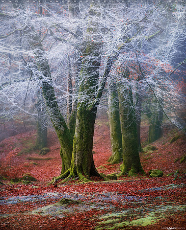Into the Mystic #10