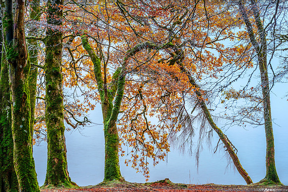 Fall Colors Loch-Oich #1