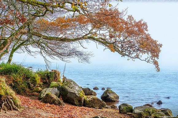 Fall Colors on Loch Oich #5