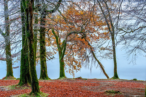 Fall Colors on Loch Oich #2