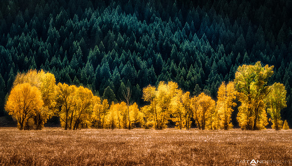 Fall Glow by matt anderson