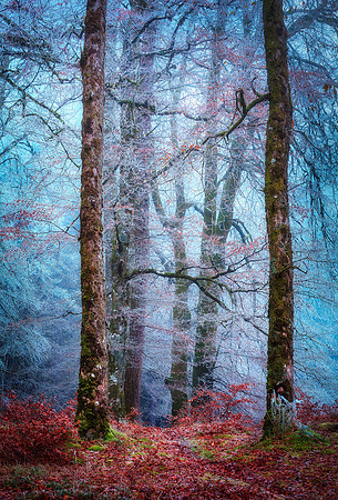 Into the Mystic #4 V2 Crop artful 2560px