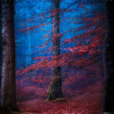 Into the Mystic #3 V3 Supernatural 2560px