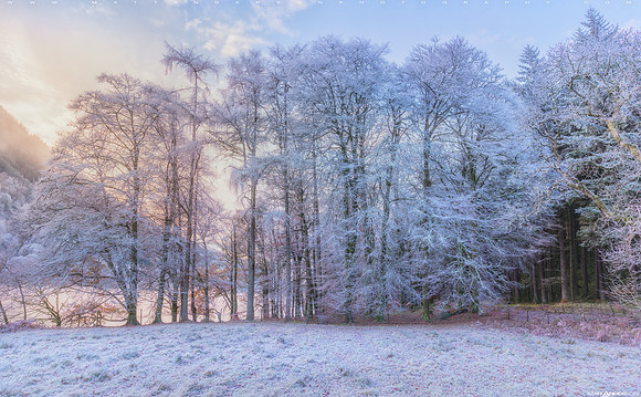 Into the Mystic #6 - Frozen Reverie Master 2560px