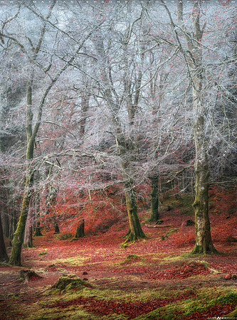 Into the Mystic #7 2560px