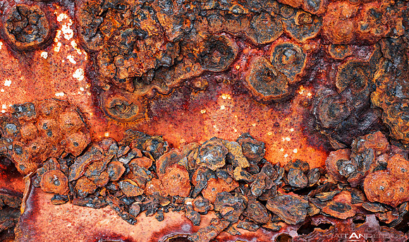 Rusty Salty Sea Shore Shapes_3000px