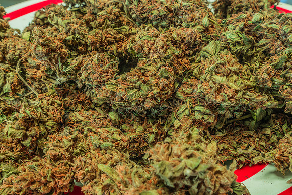 Weed_MA_Getty_20171020_002