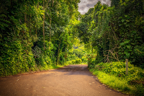 Road to Hana Wailua Falls Grotto_Getty_MattAnderson