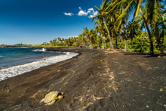 Punalu'u Beach #5_Getty_MattAnderson