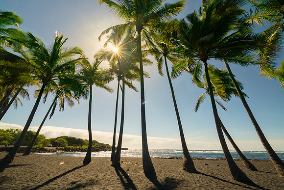 Punalu'u Beach #4_Getty_MattAnderson