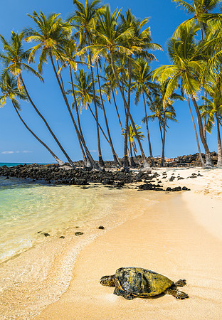 Mahai’ula Beach #6_Getty_MattAnderson