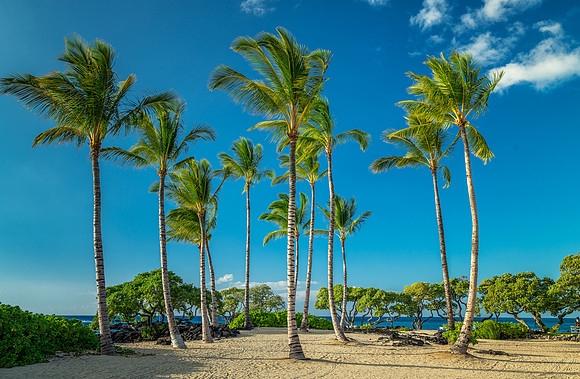 Kukio Beach #3_Getty_MattAnderson