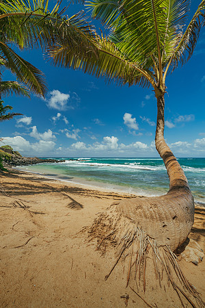 Kuau Cove Beach Maui #5 _SNY0710-HDR_Matt Anderson Getty