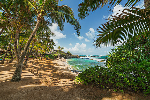 Kuau Cove Beach Maui #10 _SNY0693_Matt Anderson Getty