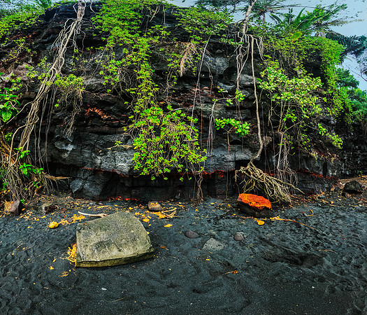 Kehena Beach Vines #1_Getty_MattAnderson