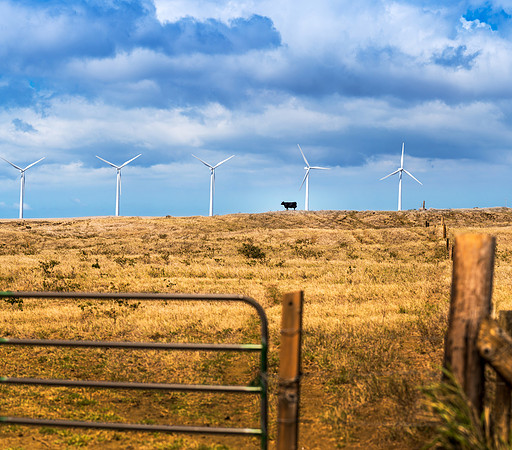 Big Island Windmills #1_Getty_MattAnderson