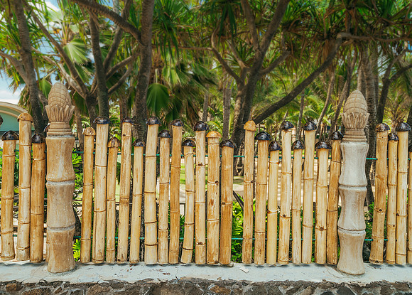 Bamboo Fence Maui _SNY0731_Matt Anderson Getty