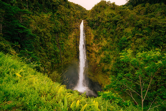 Akaka Falls #1_Getty_MattAnderson