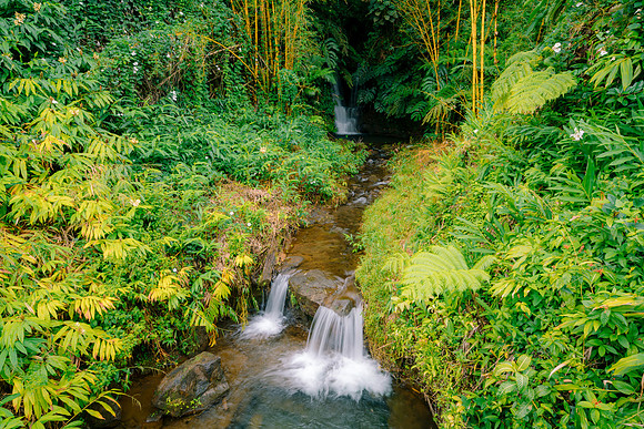 Akaka Falls #2_Getty_MattAnderson