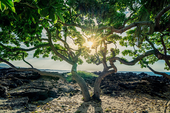 Kukio Beach #2_Getty_MattAnderson