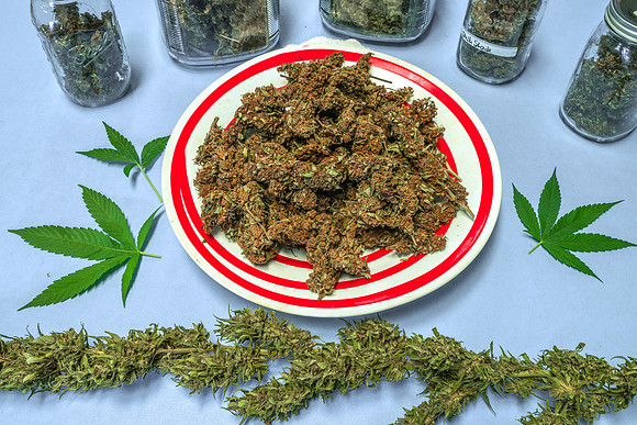 Weed_MA_Getty_20171020_001