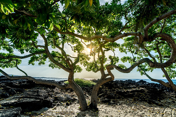 Kukio Beach #1_Getty_MattAnderson