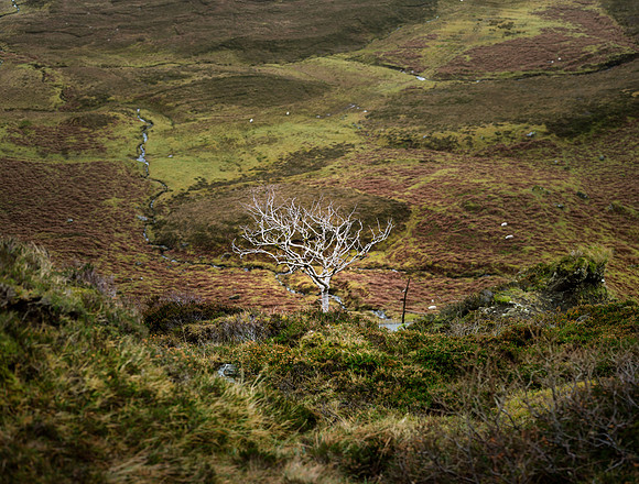 The Quiraing Landscape #7