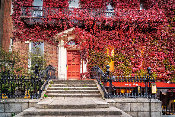 Dublin_SNY02621_Getty_MattAnderson_Lumi