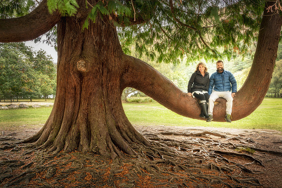 Matt-Kerri-Wicklow-Tree
