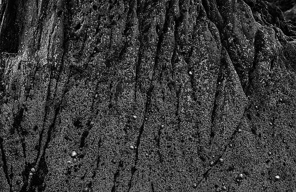 Beenbawn Strand Coral #2 BW 2560px