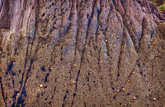 Beenbawn Strand Coral #2 2560px